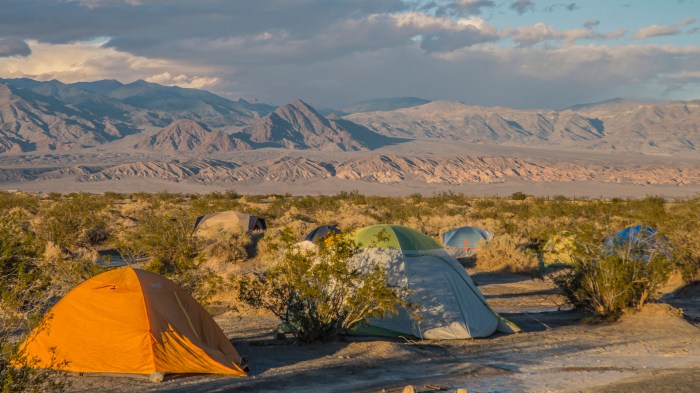 Desert camping and glamping tips