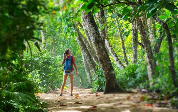 Rainforest expedition 10adventures expeditions adventure amazonia Rainforest expedition 10adventures expeditions adventure amazonia